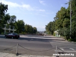 Фотография №12