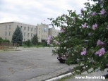 Photo №7