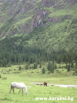 Photo №2