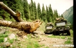 Photo №2