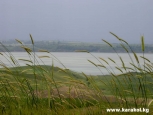 Photo №1