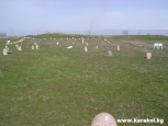 Photo №1