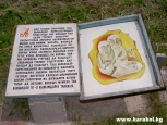 Photo №4